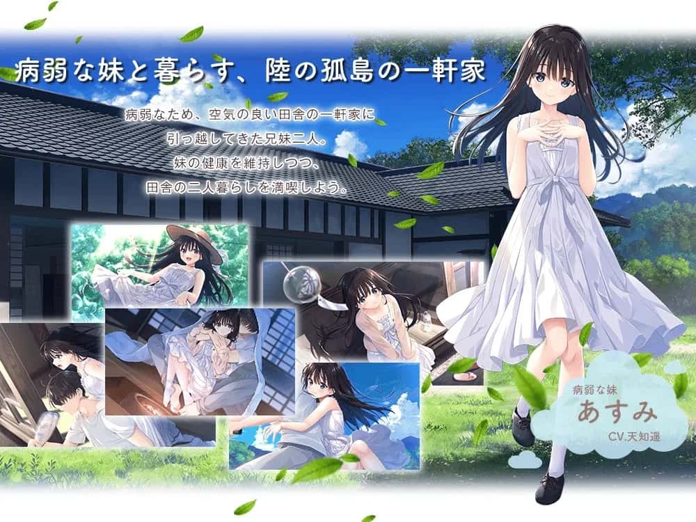 视觉数据2